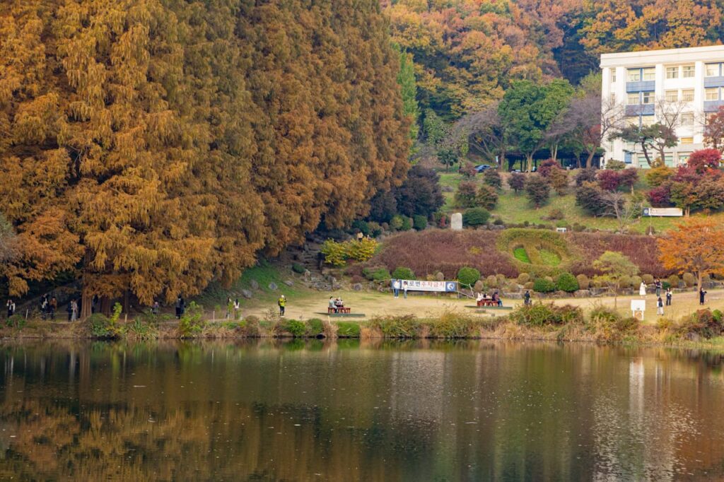 Autumn campus scenery in Korea reflected on a calm lake